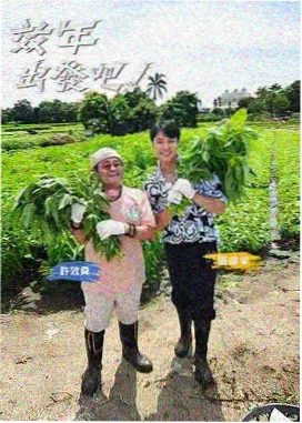 洒水车三年车龄残值快照配图
